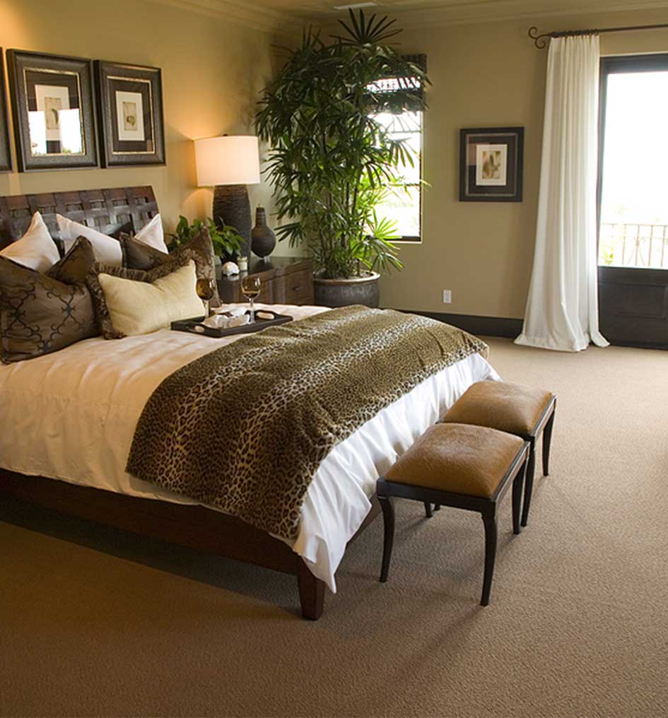 Carpet Cleaning